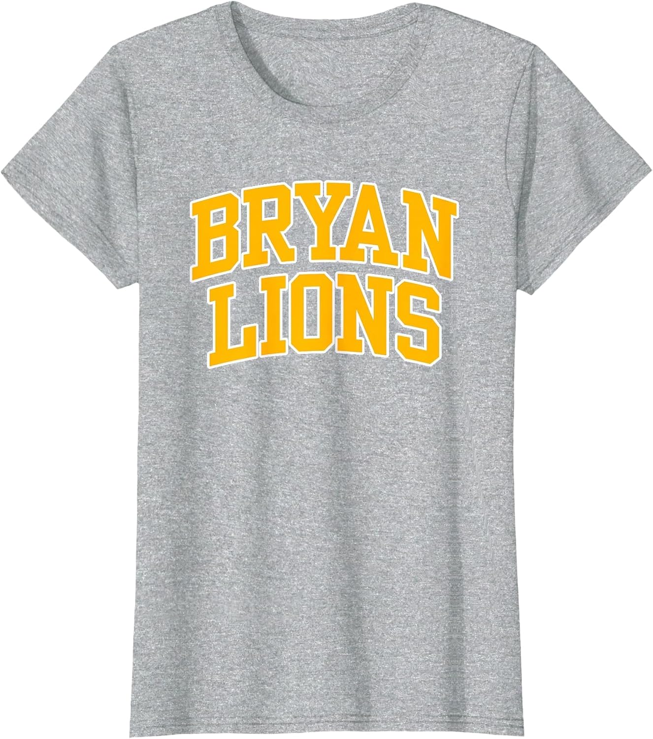Bryan College Lions Apparel Sports Fan