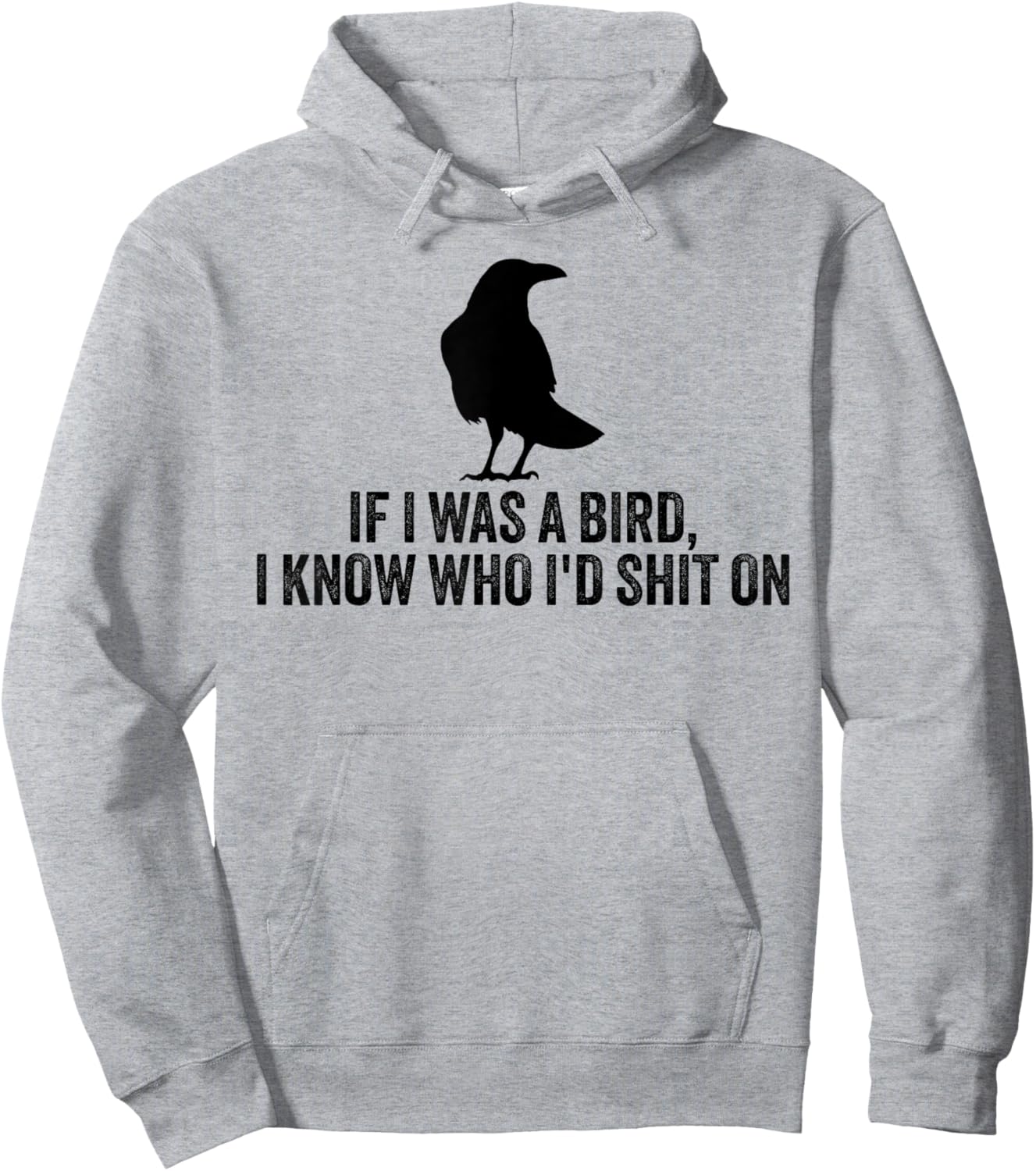 If I Was A Bird I Know Who I'd Shit On Hoodie - Hoodie | Ash