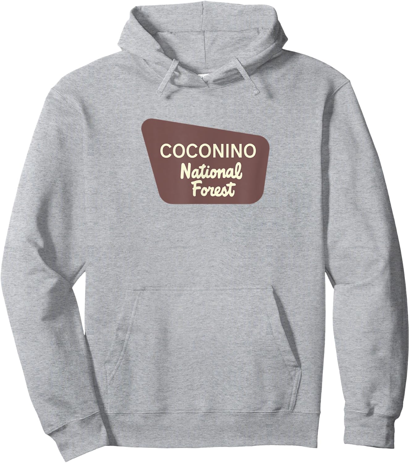 Coconino National Forest Hoodie - Hoodie | Ash