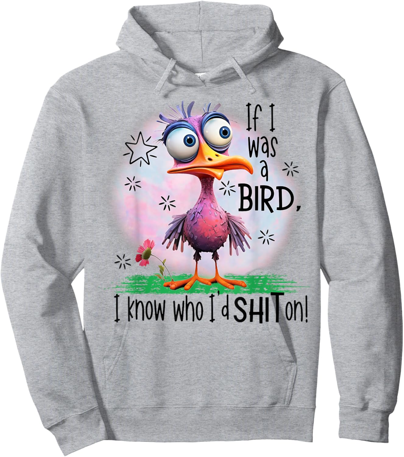 If I Was A Bird I Know Who I'd Shit On Hoodie - Hoodie | Ash