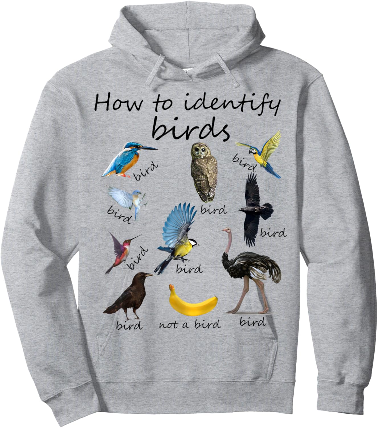 How To Identify Birds Bird Watcher Hoodie - Hoodie | Ash