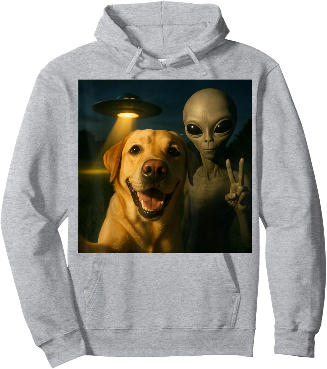 Labrador Selfie with Alien UFO Hoodie - Hoodie | Ash