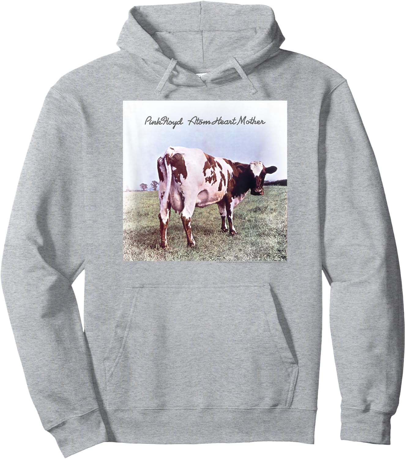 Pink Floyd Atom Heart Mother Hoodie - Hoodie | Ash