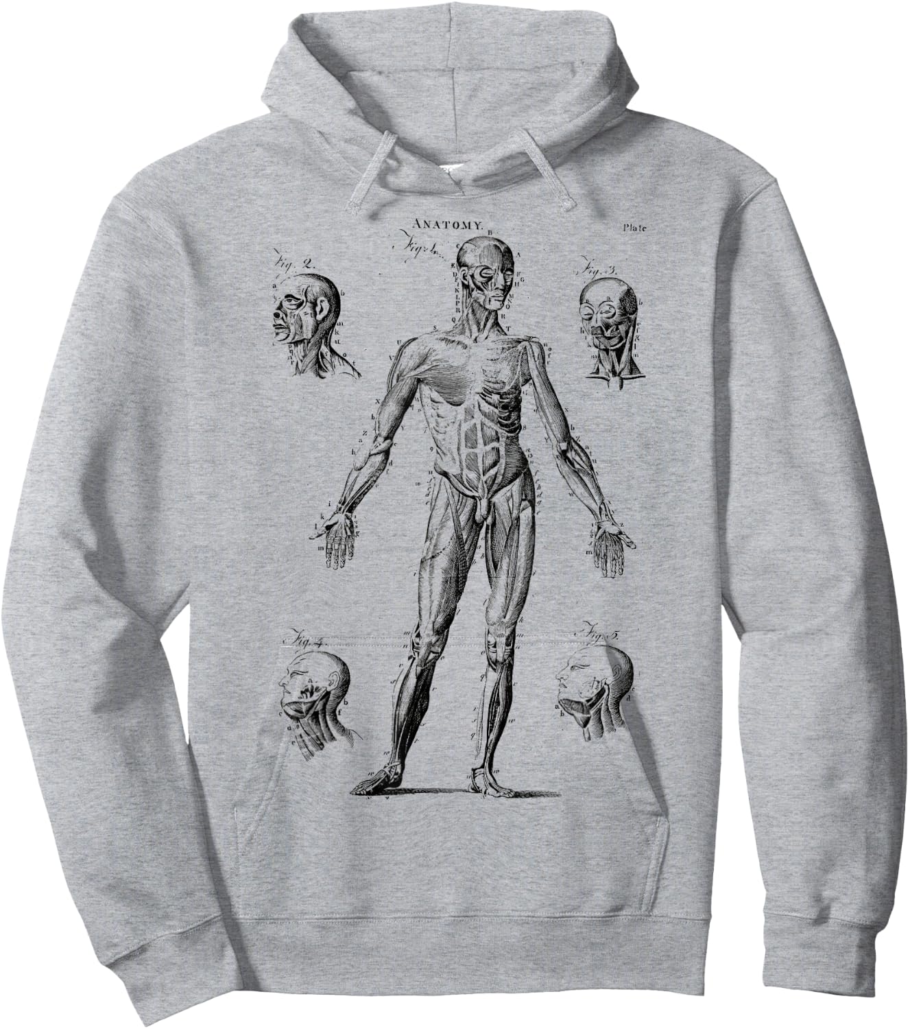 Human Muscle Anatomy Medical Anatomy Hoodie - Hoodie | Ash