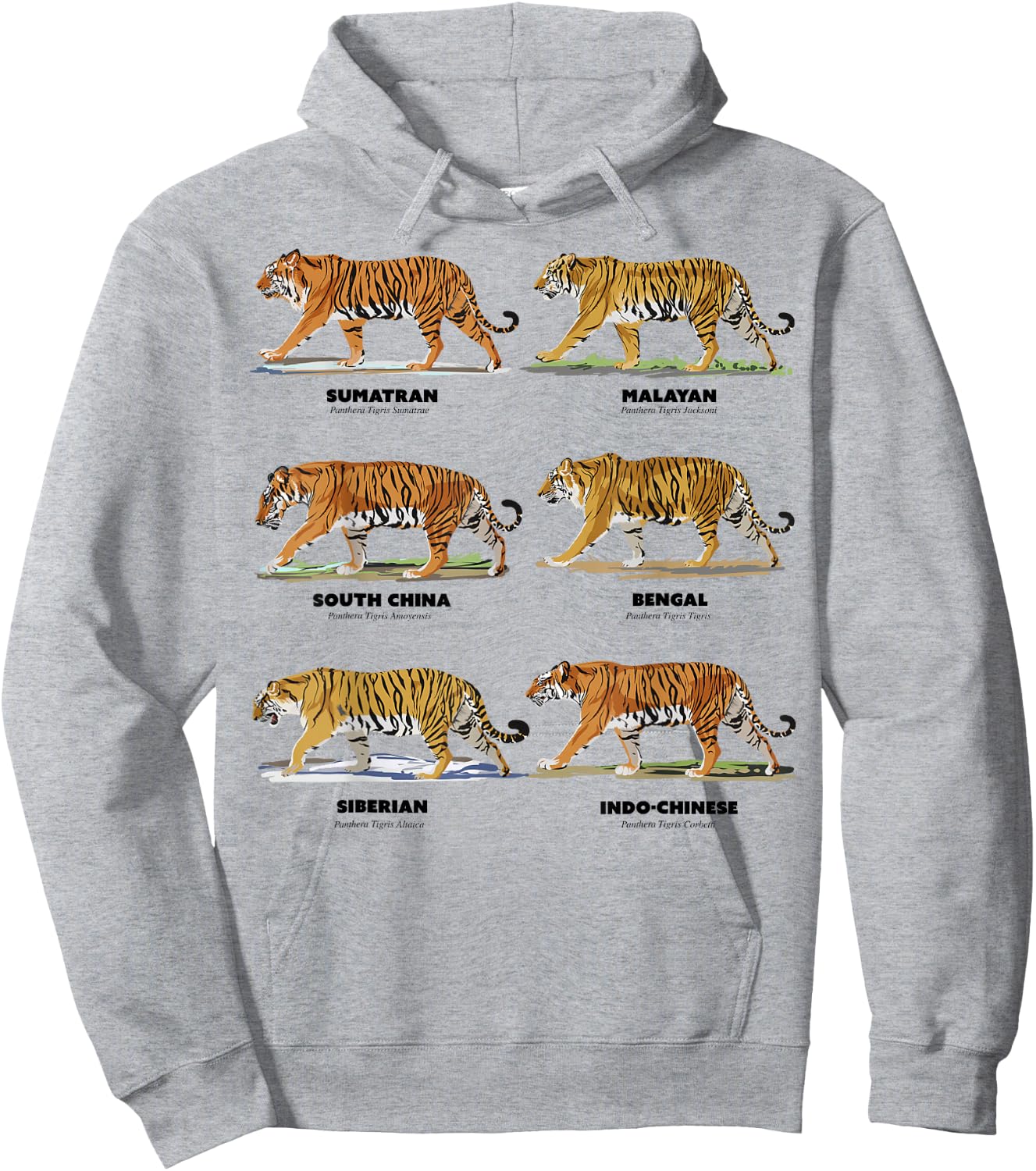 Scientific Exotic Tiger Names Hoodie - Hoodie | Ash