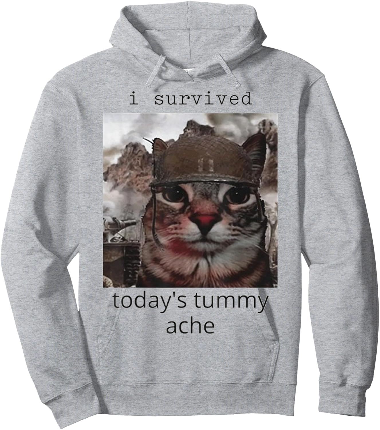 I survived today's tummy ache Cat Hoodie - Hoodie | Ash