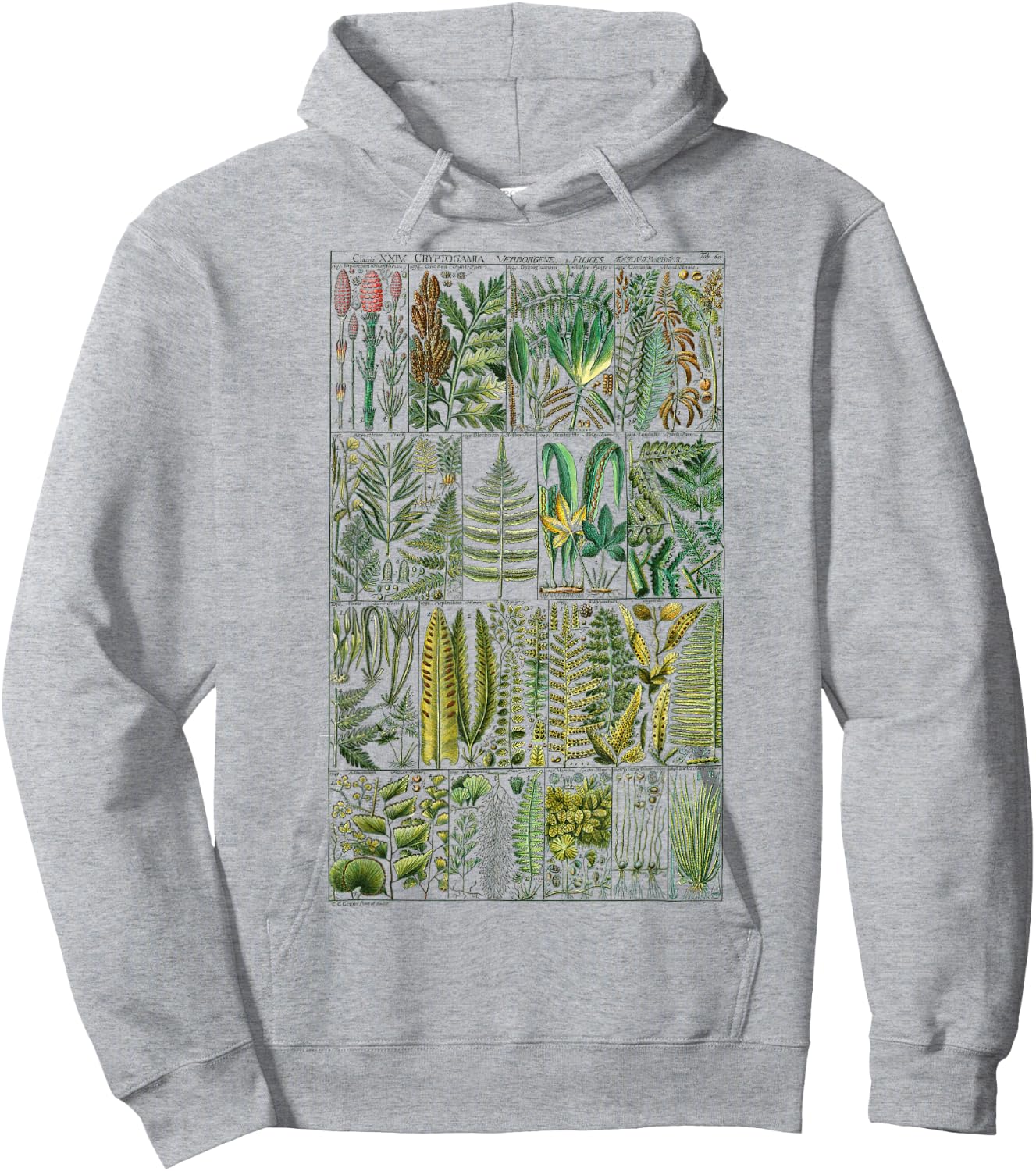 Fern Botanical Plant Botany Hoodie - Hoodie | Ash