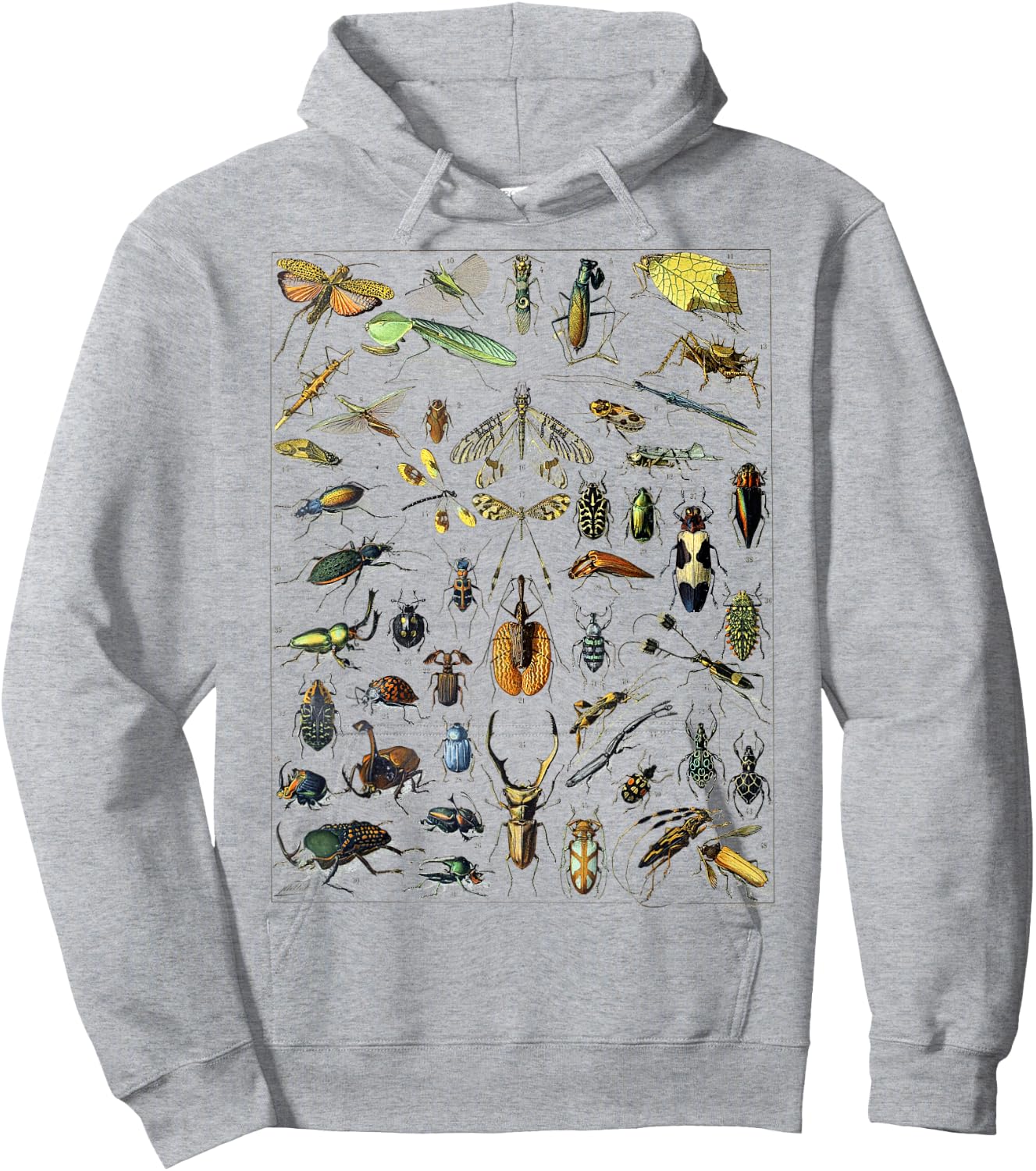 Insect Bug Entomology Print Gift Bug Print Hoodie - Hoodie | Ash