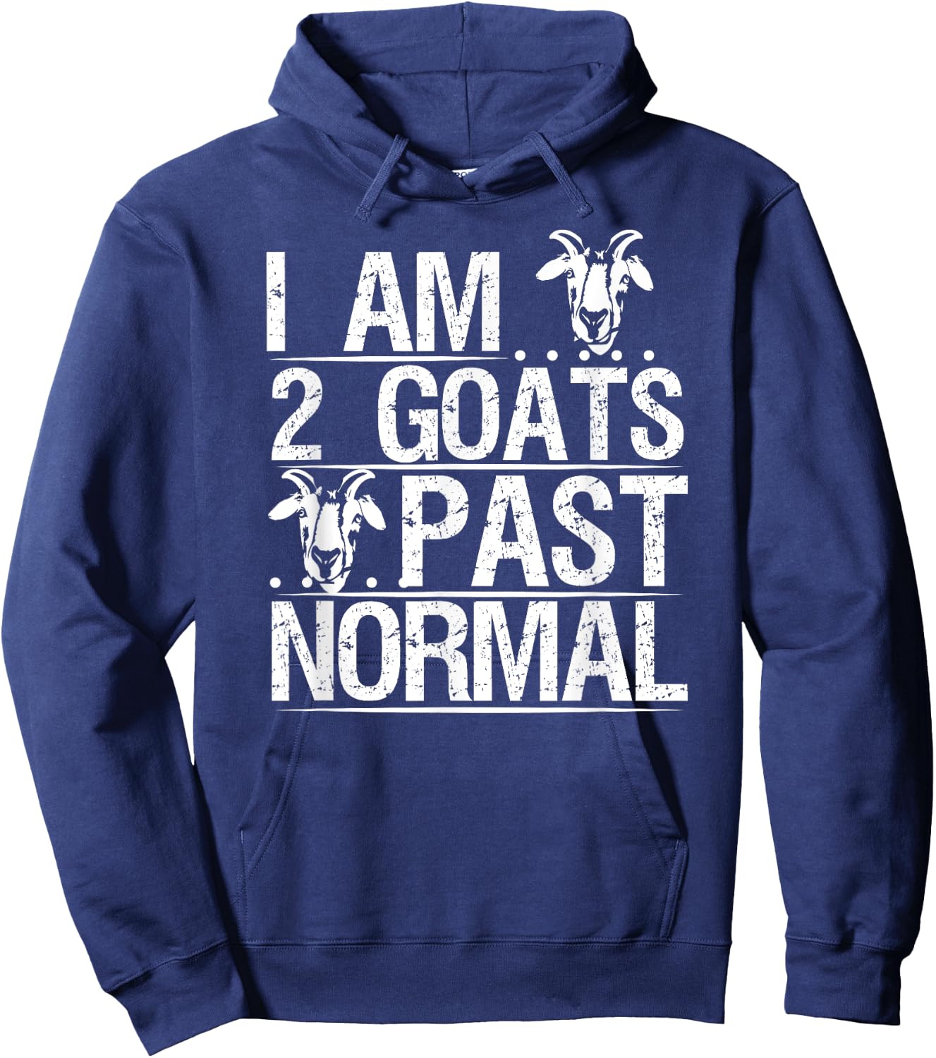 I am 2 Goats Past Normal Pet Goat Funny Hoodie - Hoodie | Navy