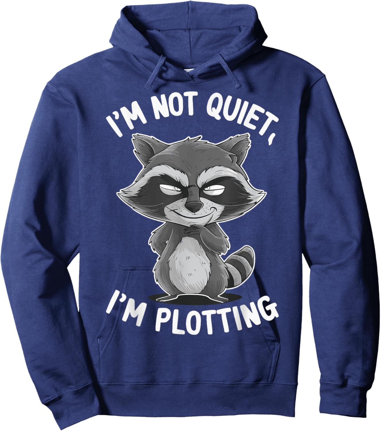 I'm Not Quiet I'm Plotting Hoodie - Hoodie | Navy