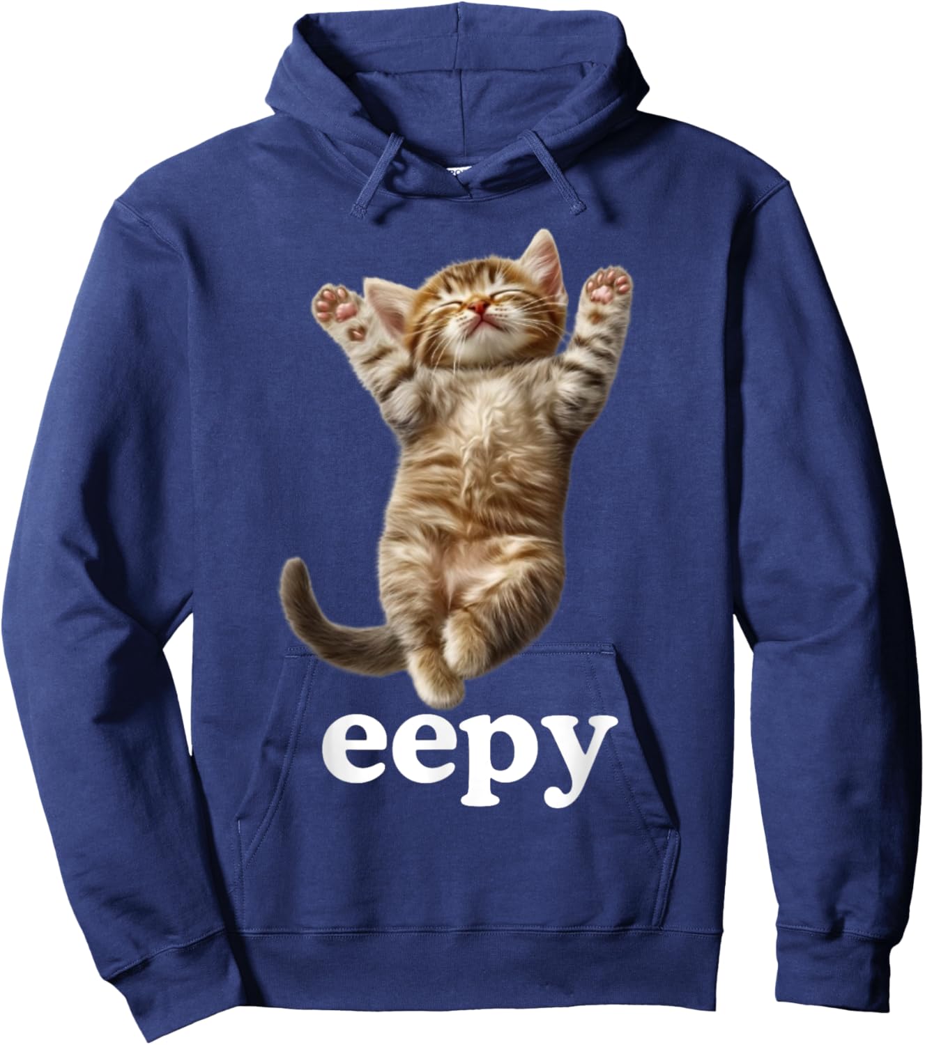 Adult Cat Meme , Black, Small, Short Sleeve Hoodie - Hoodie | Navy
