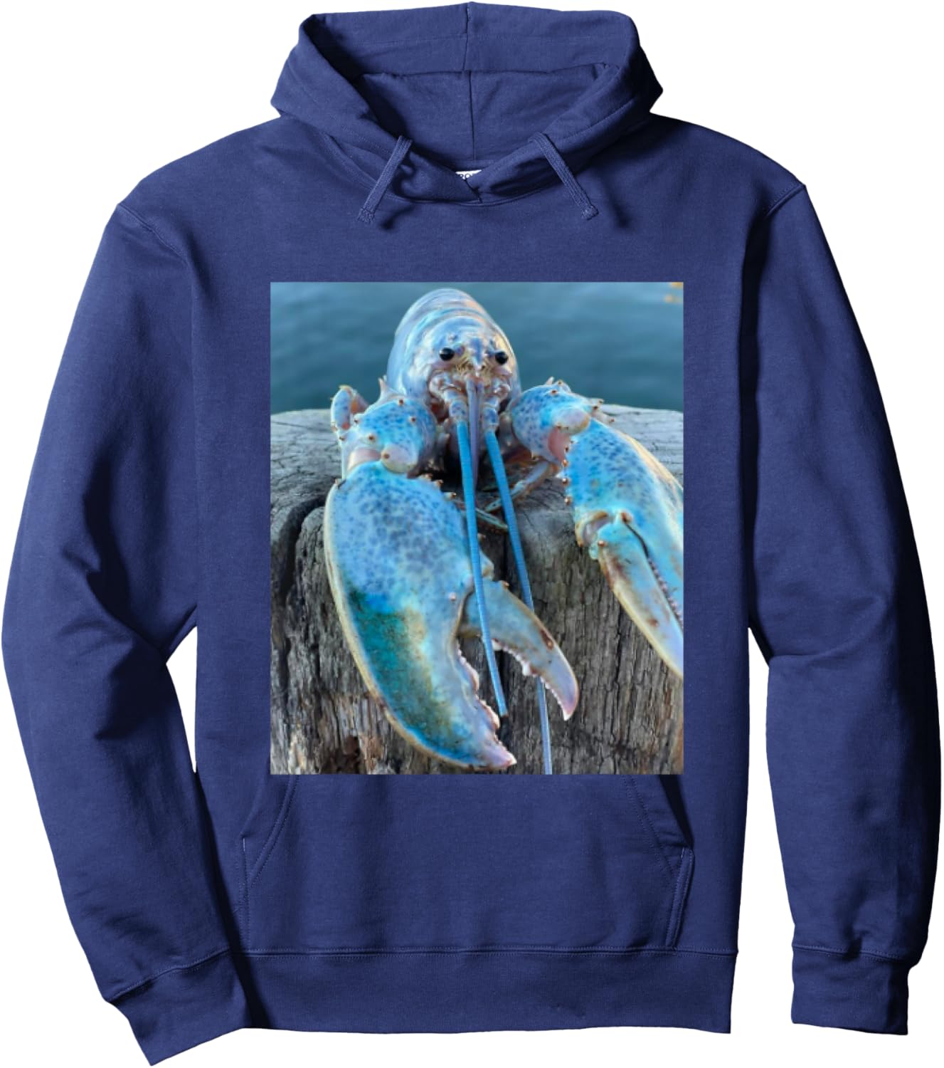 Funny Jumpscare Lobster Meme Blue Crustacean Hoodie - Hoodie | Navy