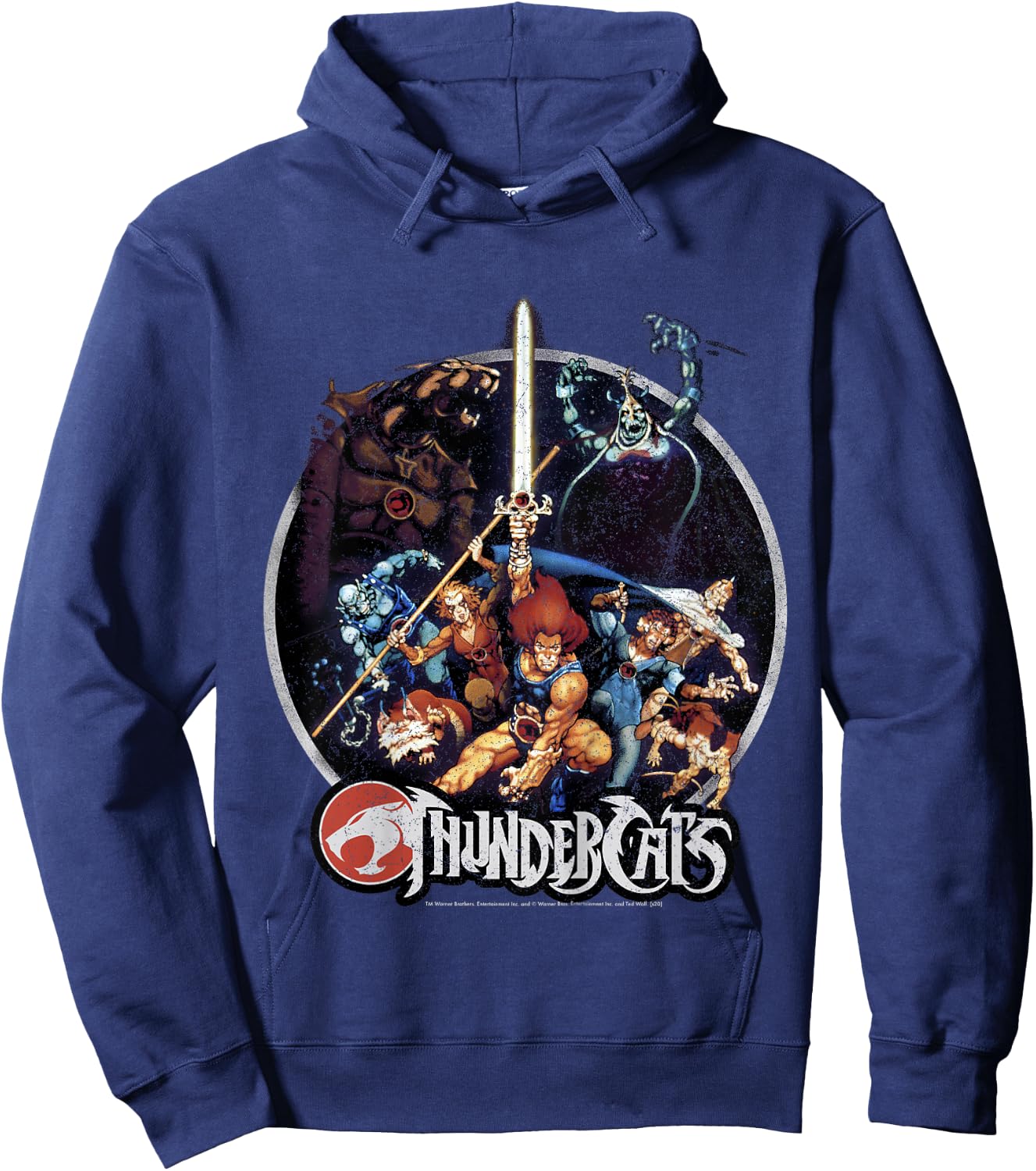 Kids Thundercats Group Shot Vintage Circle Hoodie - Hoodie | Navy