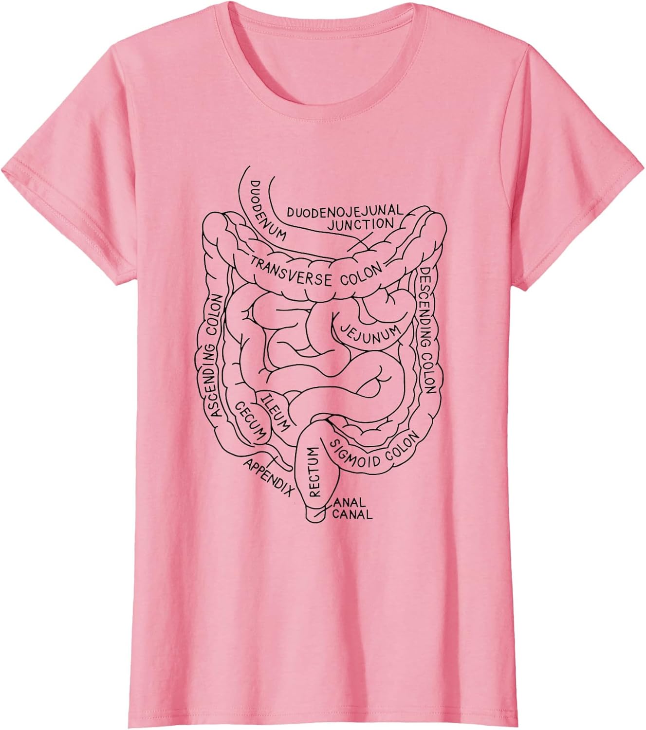 Intestines Anatomy Gastroenterologist Endoscopy Nurse