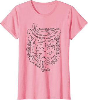 Intestines Anatomy Gastroenterologist Endoscopy Nurse