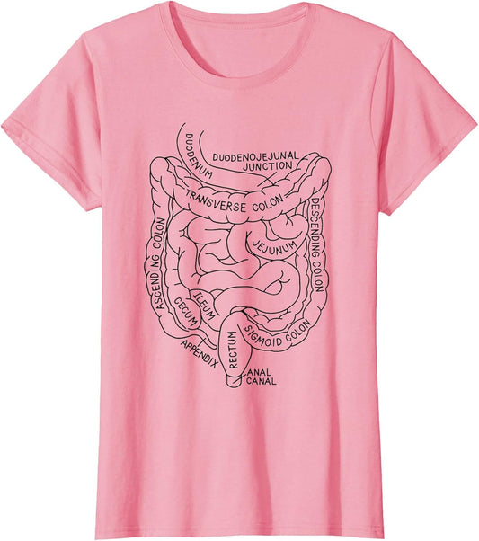 Intestines Anatomy Gastroenterologist Endoscopy Nurse
