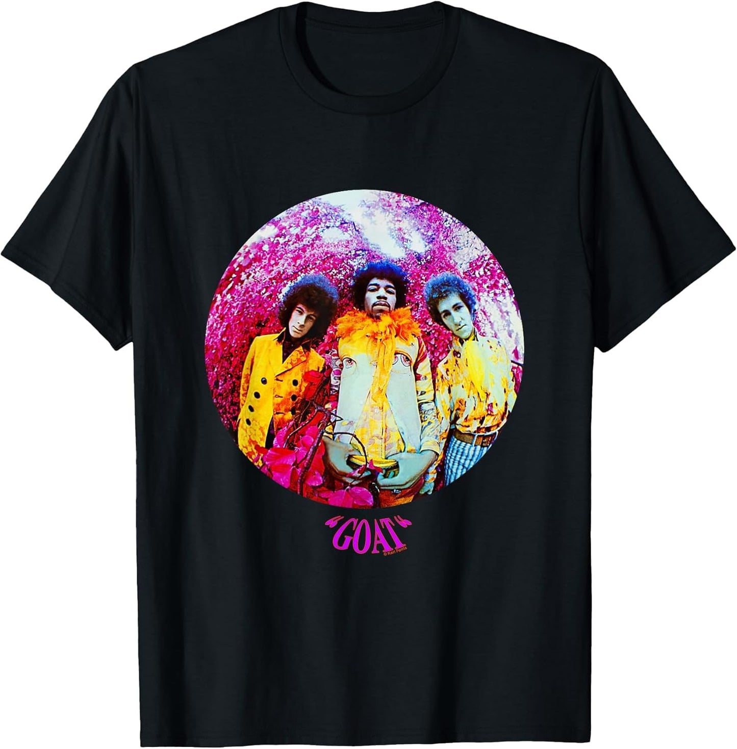 Karl Ferris are You Experienced Jimi Hendrix Goat