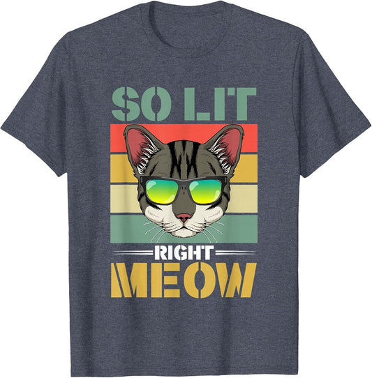 EDM Cat Pun DJ Rave Party Techno Festival So Lit Right Meow