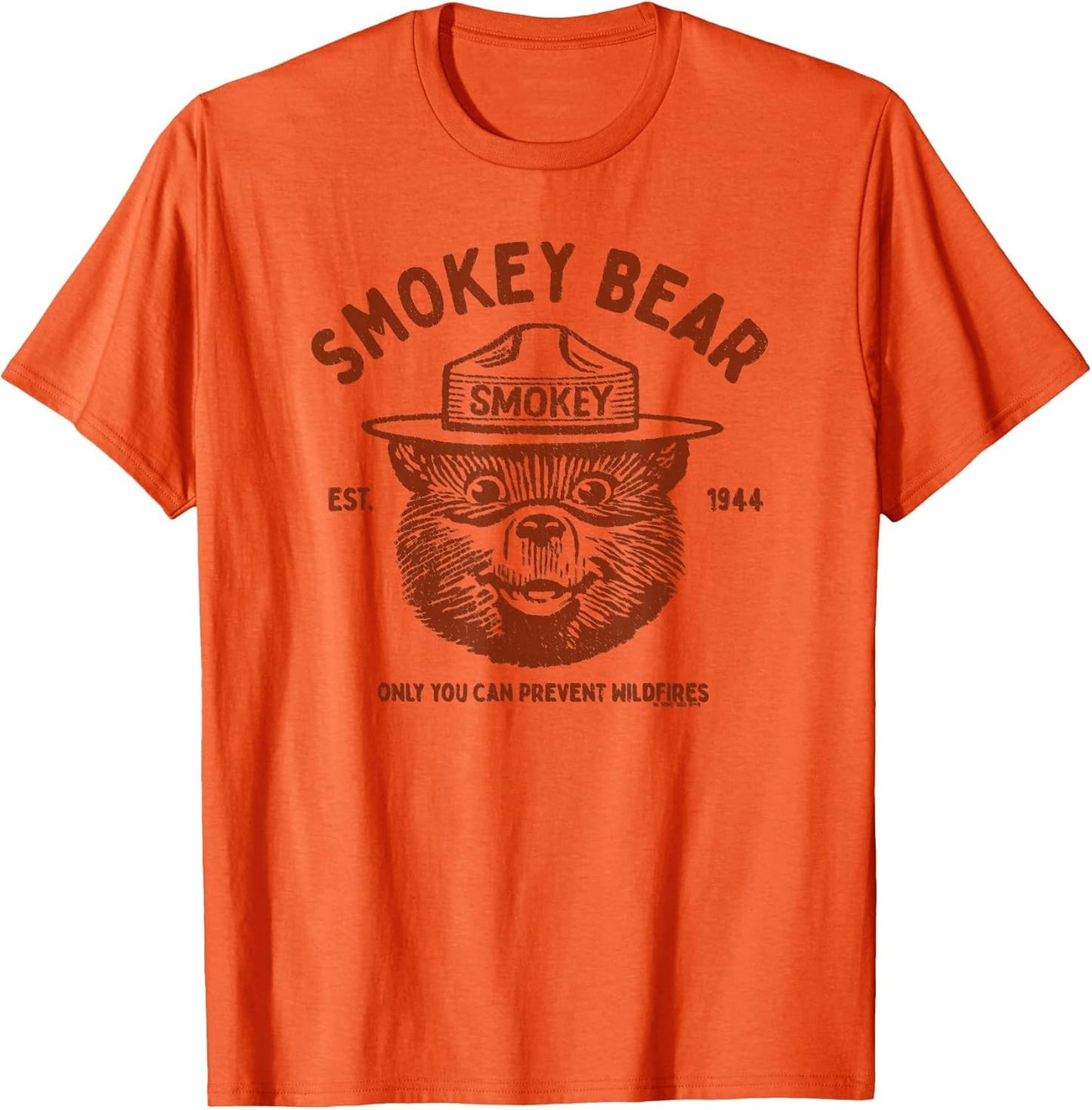 Vintage Smokey Bear Logo Only You Can Prevent Wildfires
