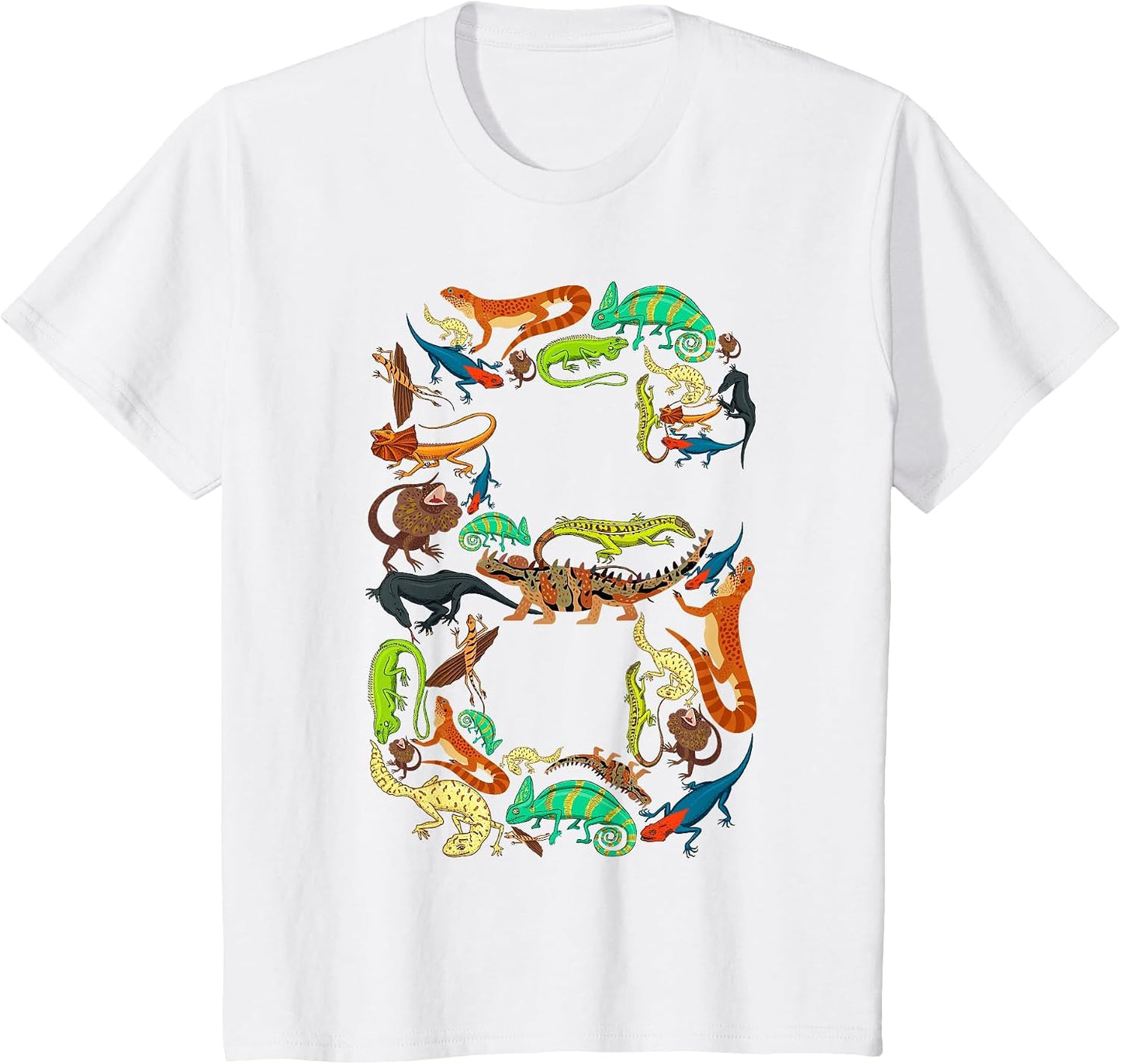 Kids 6th Birthday Reptiles Lizards Theme 6 Year Old Boys