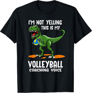 Volleyballer Youth Trainer - Volleyball Trainer