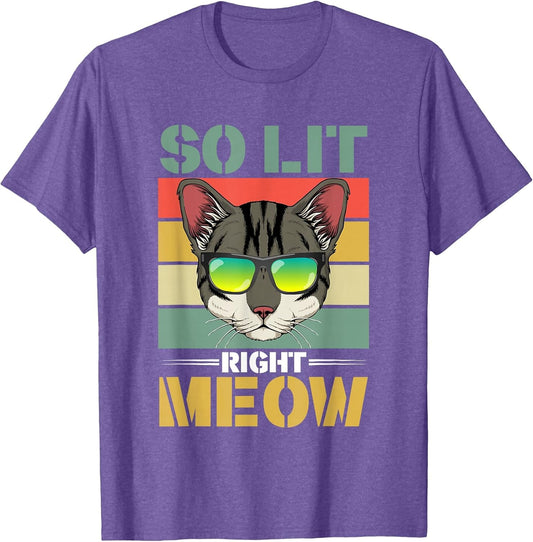 EDM Cat Pun DJ Rave Party Techno Festival So Lit Right Meow