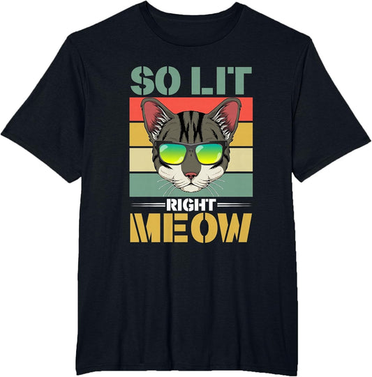 EDM Cat Pun DJ Rave Party Techno Festival So Lit Right Meow