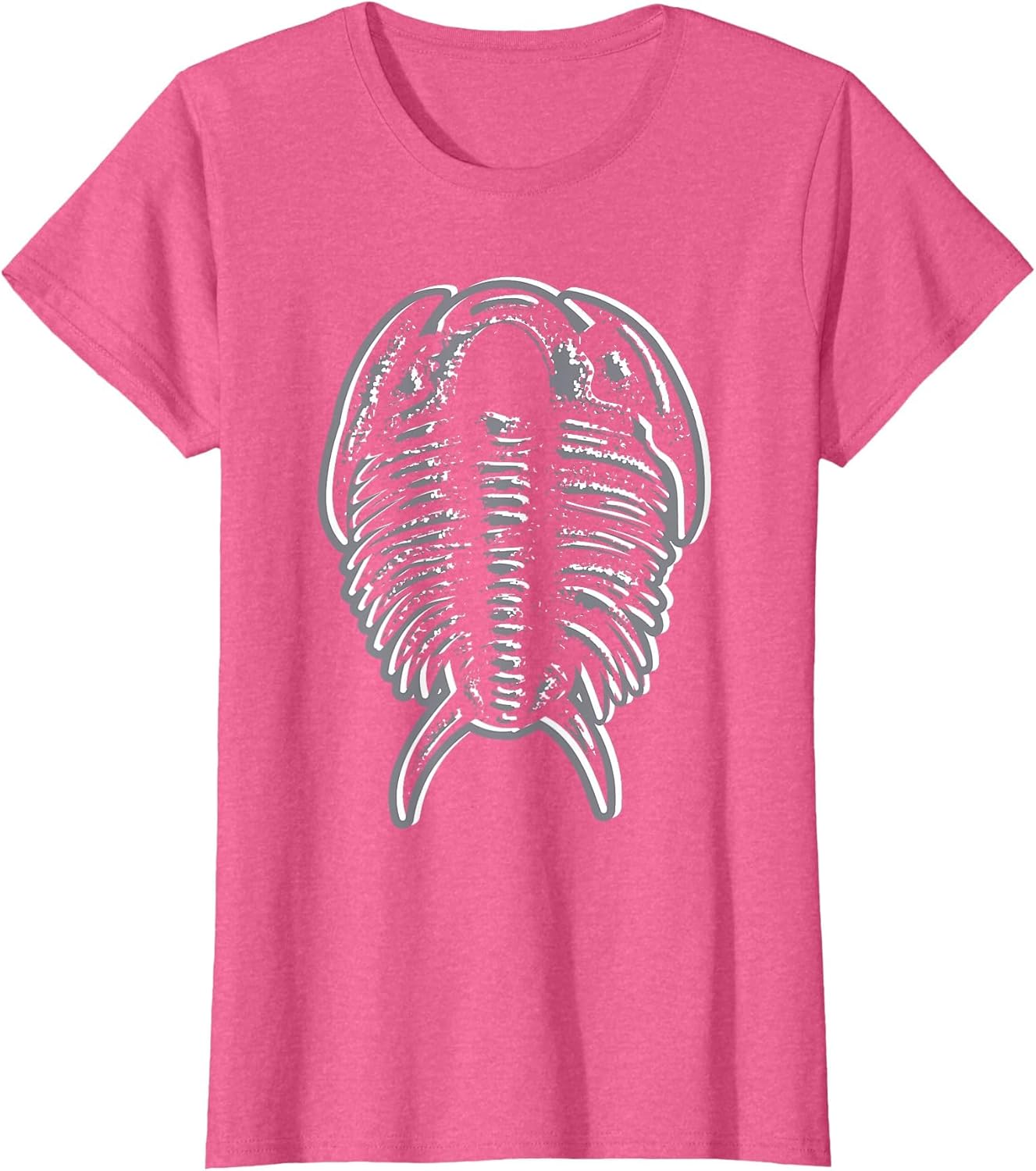 Trilobites - Fossil Hunter Paleontologist Geologist Ammonite