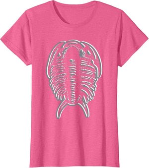Trilobites - Fossil Hunter Paleontologist Geologist Ammonite