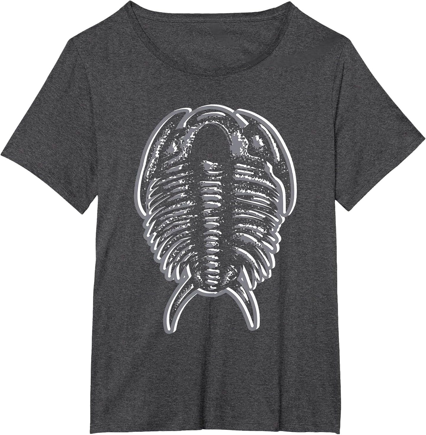 Trilobites - Fossil Hunter Paleontologist Geologist Ammonite