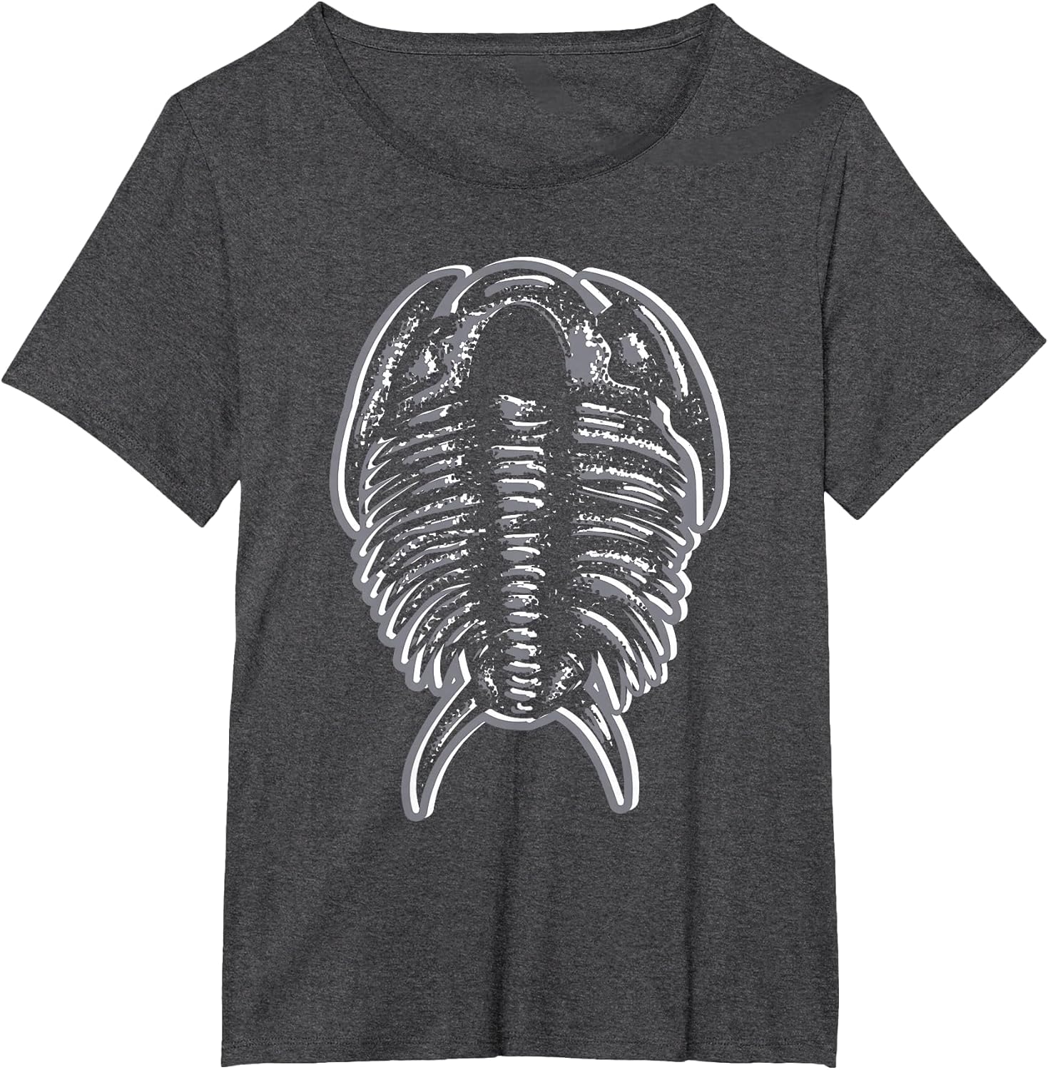 Trilobites - Fossil Hunter Paleontologist Geologist Ammonite
