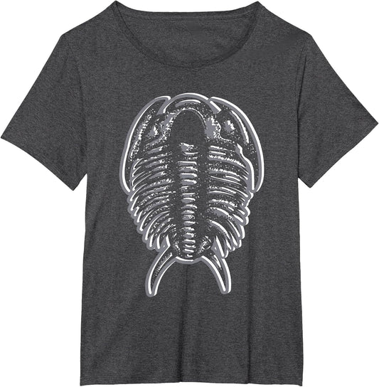 Trilobites - Fossil Hunter Paleontologist Geologist Ammonite