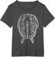 Trilobites - Fossil Hunter Paleontologist Geologist Ammonite