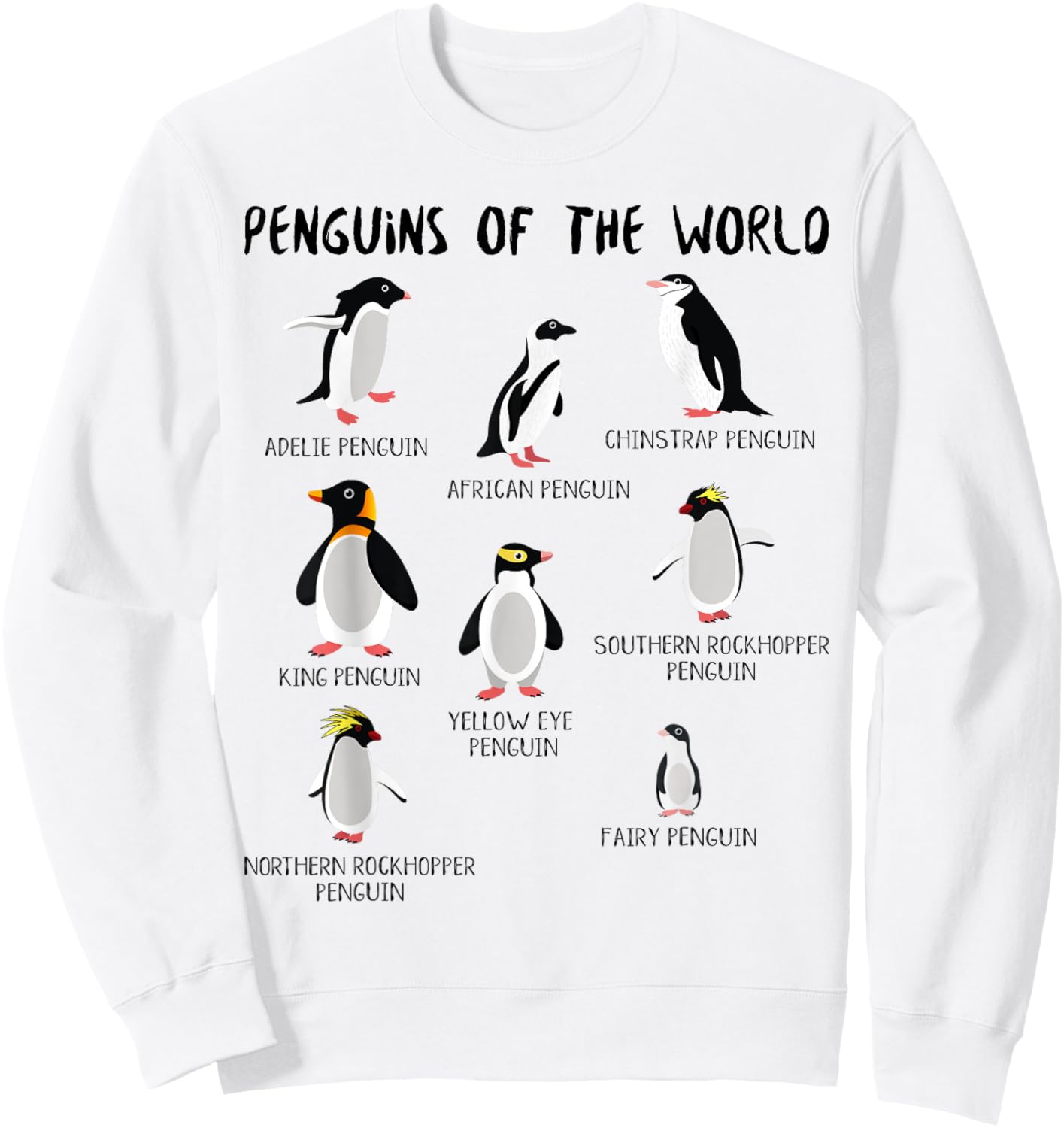 Penguin Animals Education for Kids Youth Teen Boys and Girls Sweatshirt - Sweatshirt | White