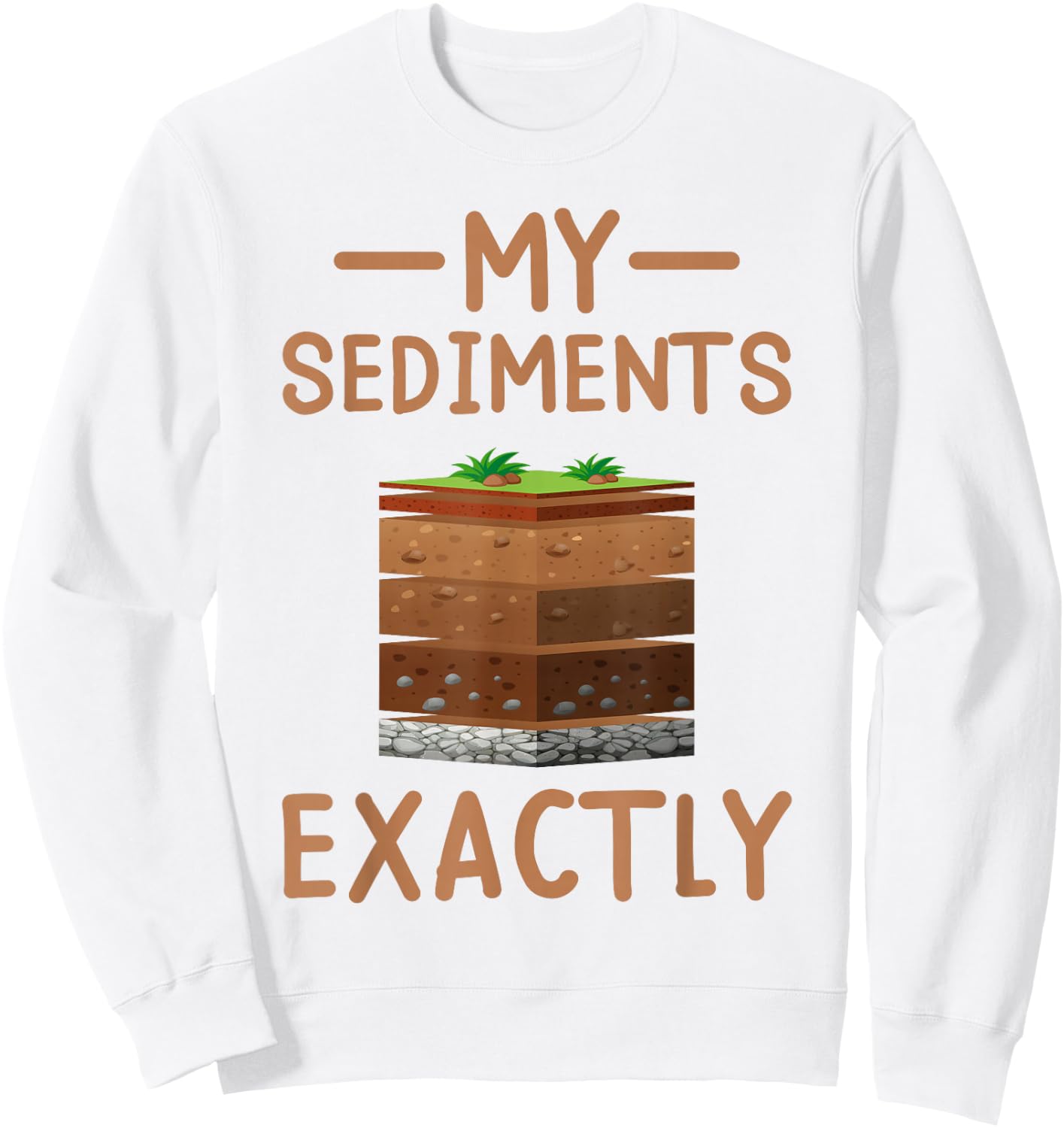 Geologist Science Nerd Geology Puns My Sediments Exactly Sweatshirt - Sweatshirt | White