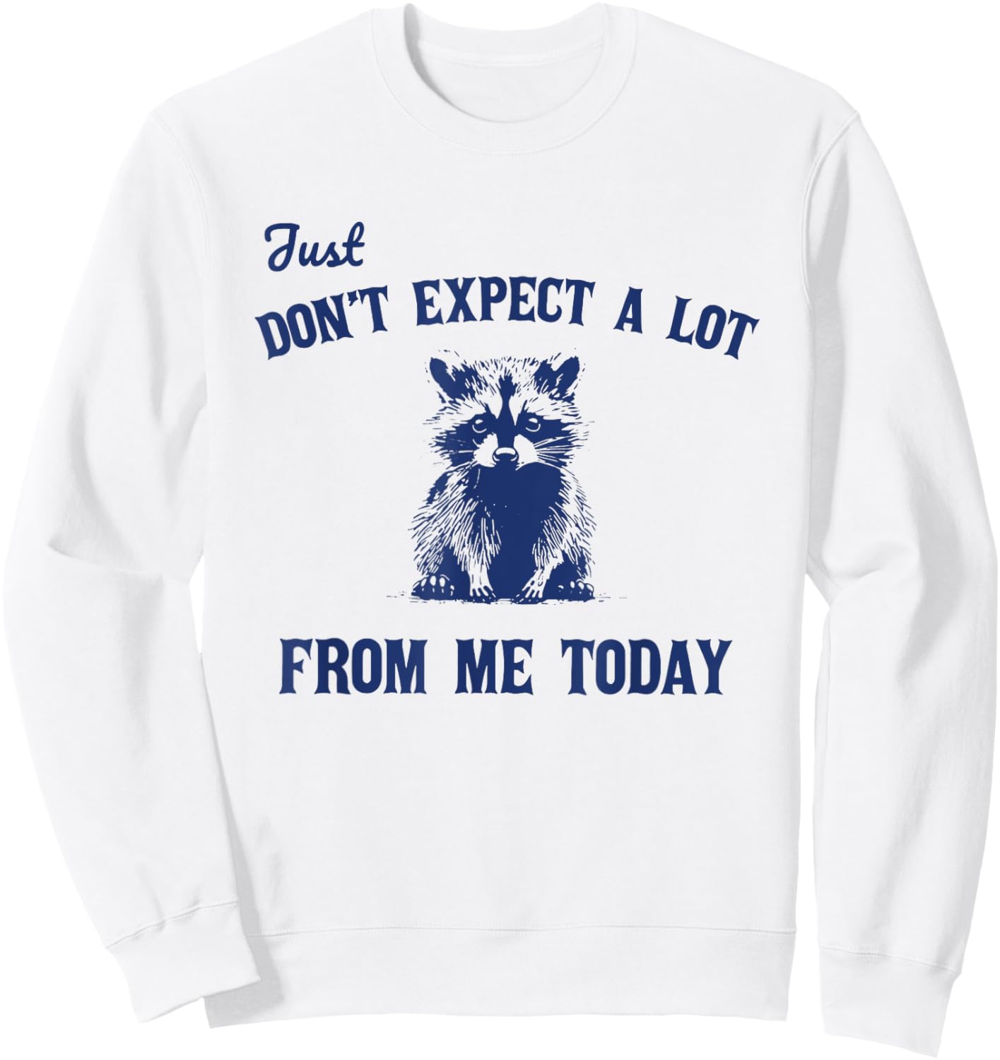 Just Don't Expect A Lot From Me Today Funny Raccoon Sweatshirt - Sweatshirt | White
