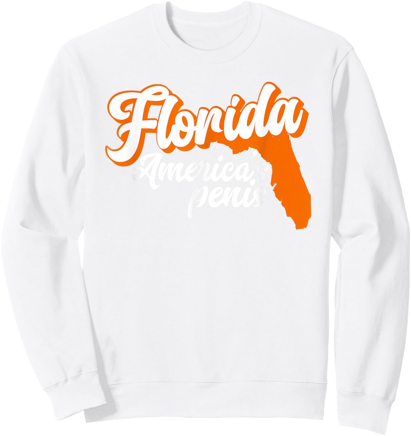 Florida is America’S Penis - Funny Florida Sucks Sweatshirt - Sweatshirt | White