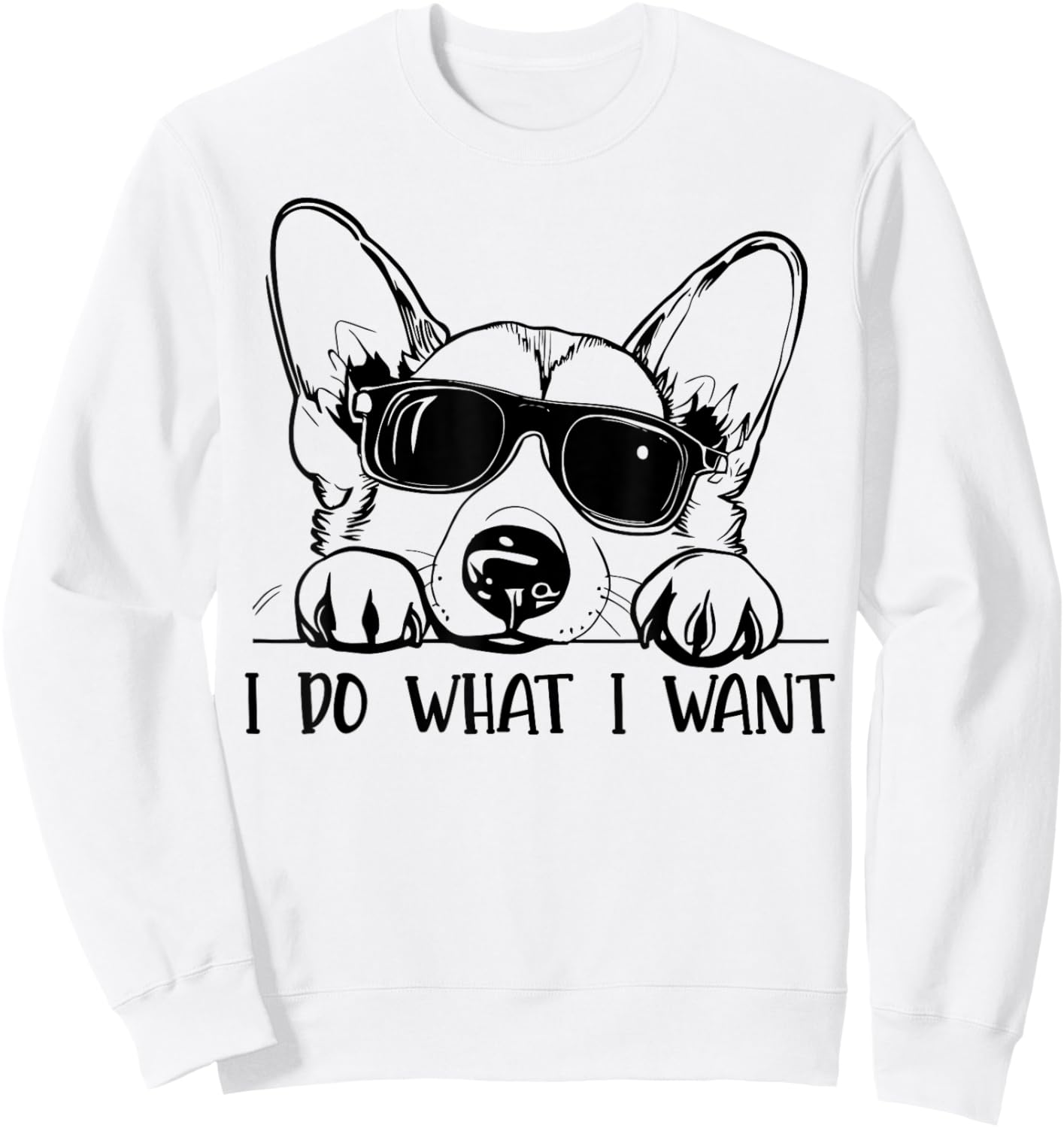Corgi Dog Owner I Do What I Want Funny Pet Sweatshirt - Sweatshirt | White
