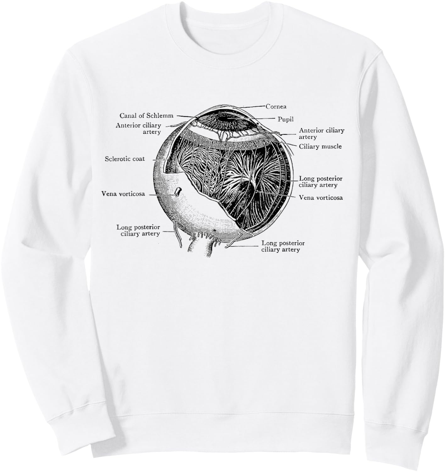 The Human Eye Eyeball Vintage Anatomy Sweatshirt - Sweatshirt | White