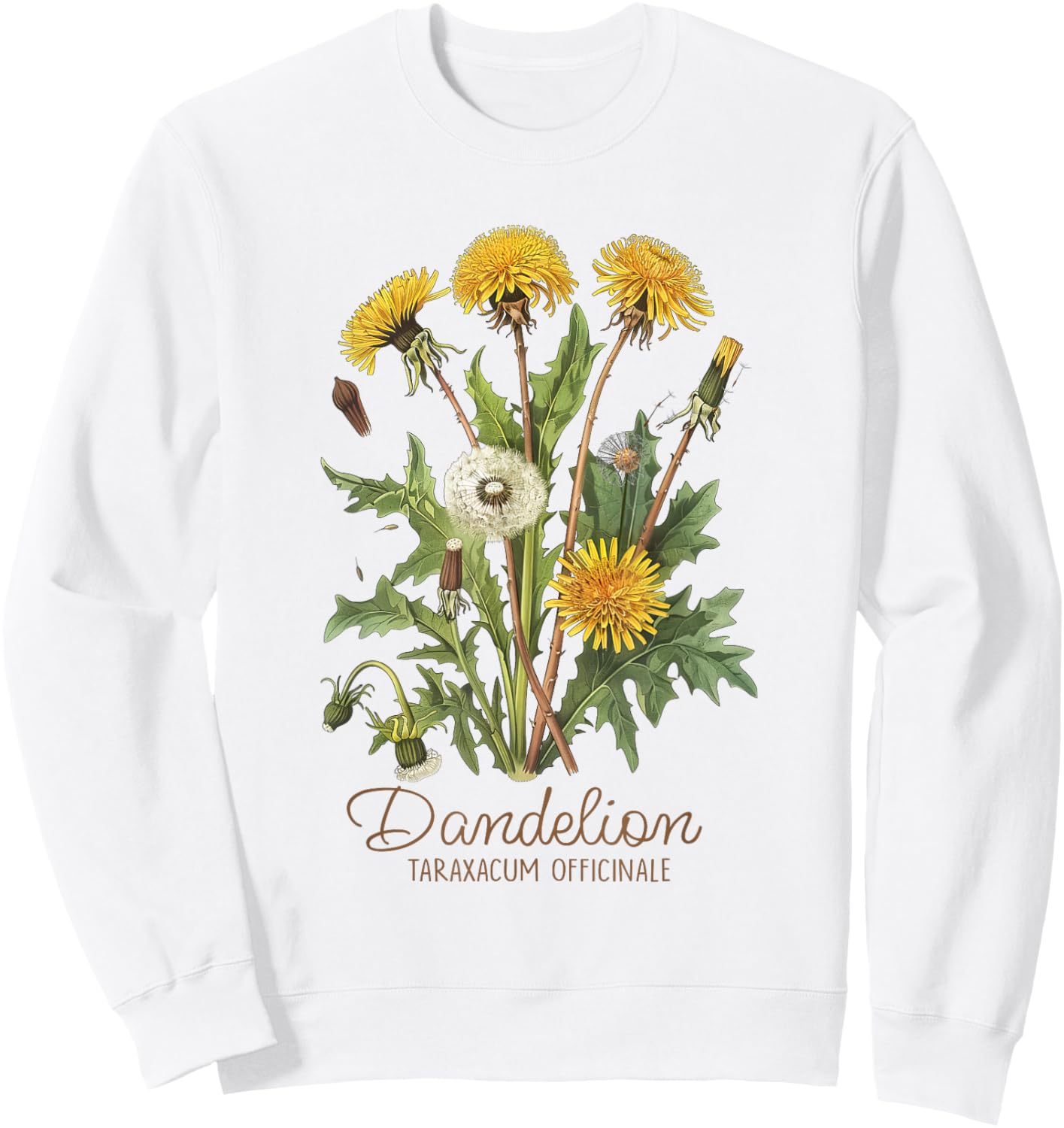 Dandelion Vintage Botanical Herbalist Gardening Dandelion Sweatshirt - Sweatshirt | White