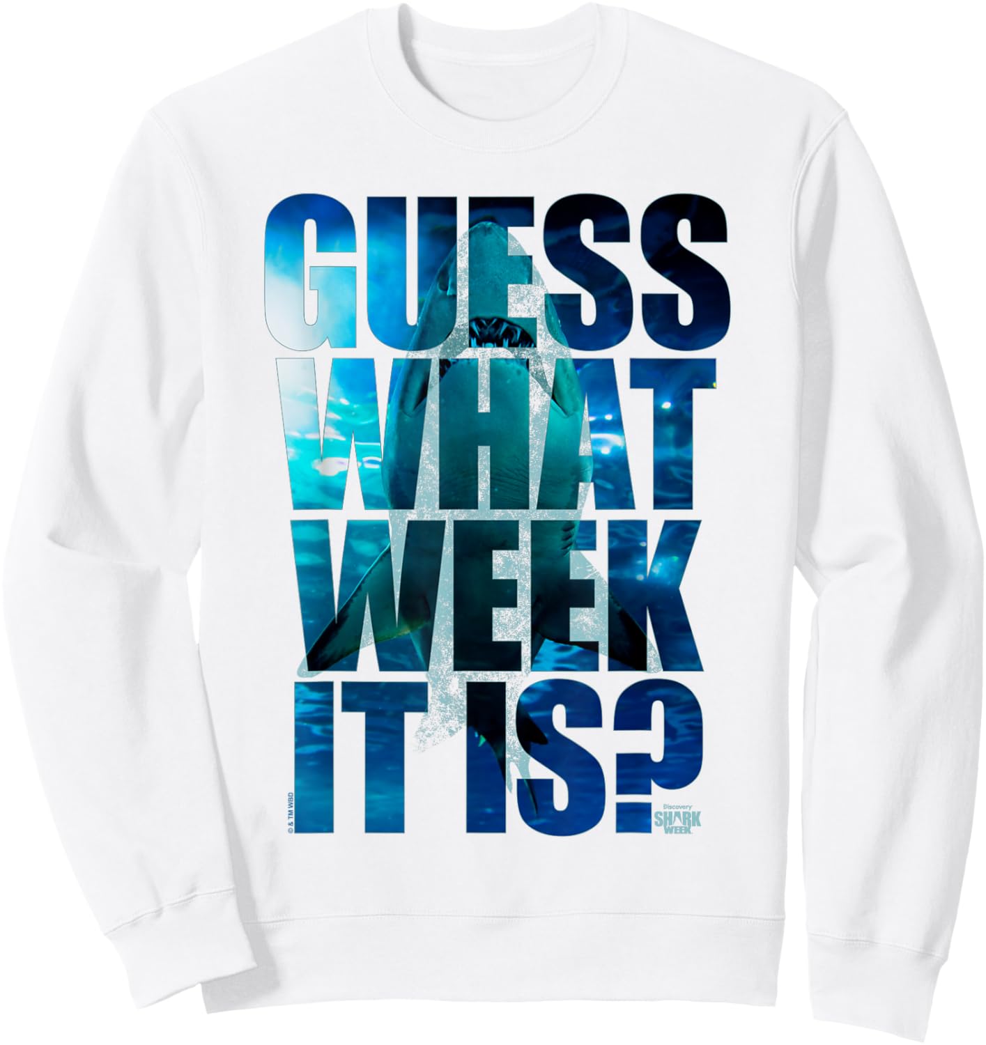 Shark Week Officially Licensed Guess What Week It Is Sweatshirt - Sweatshirt | White