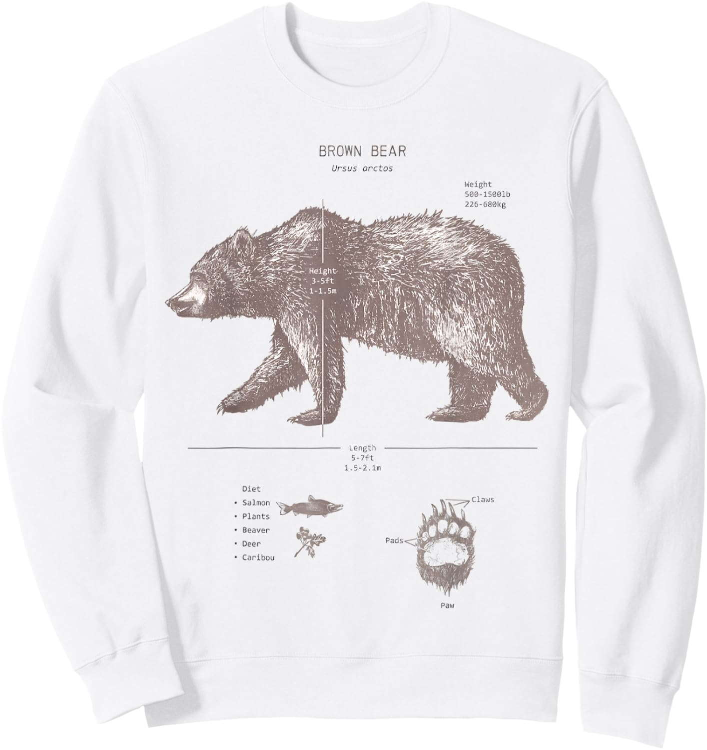 Brown Bear Anatomy Sweatshirt - Sweatshirt | White