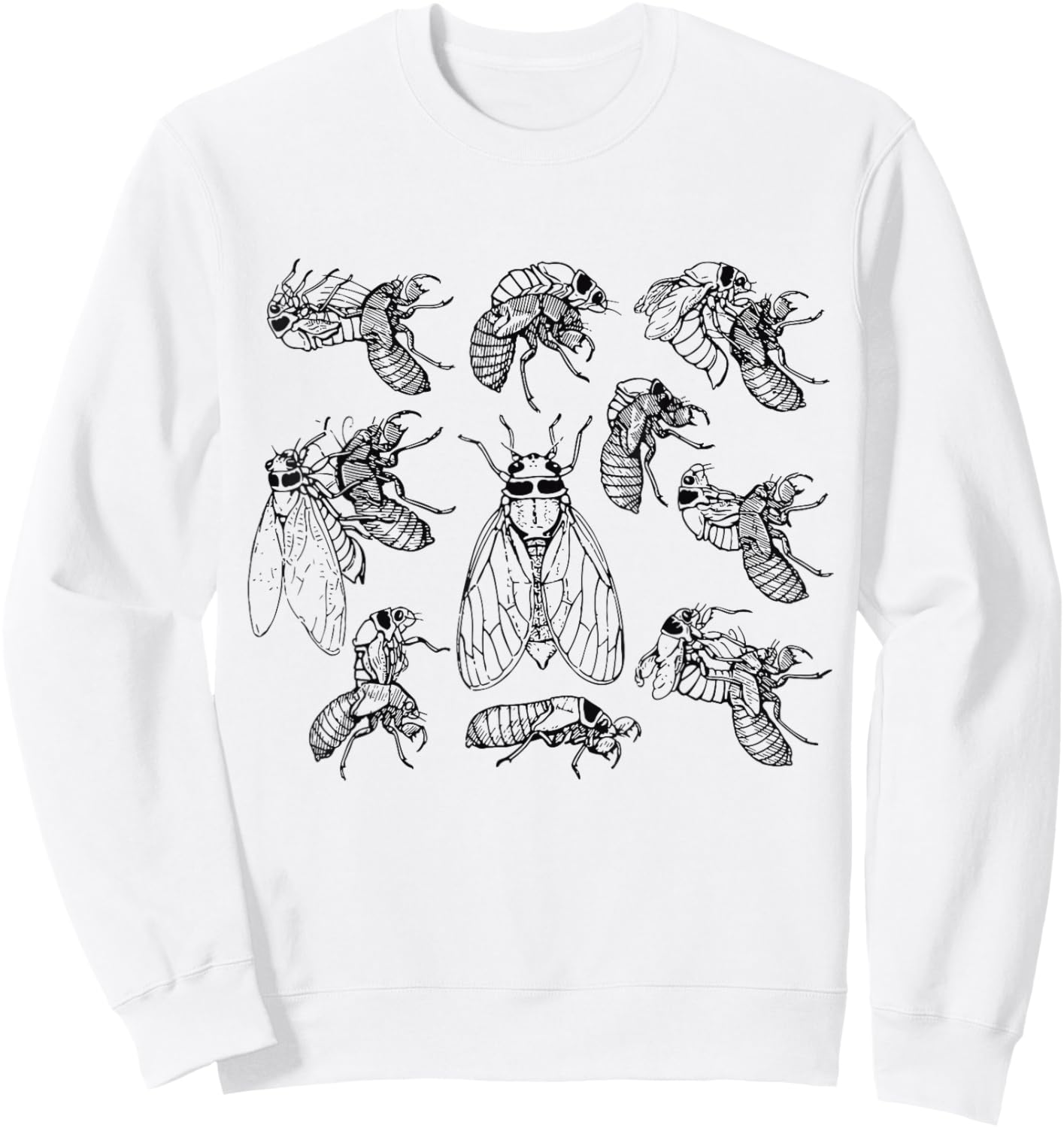 Cicadas Life Cycle Vintage Science Cicada Bug Illustration Sweatshirt - Sweatshirt | White