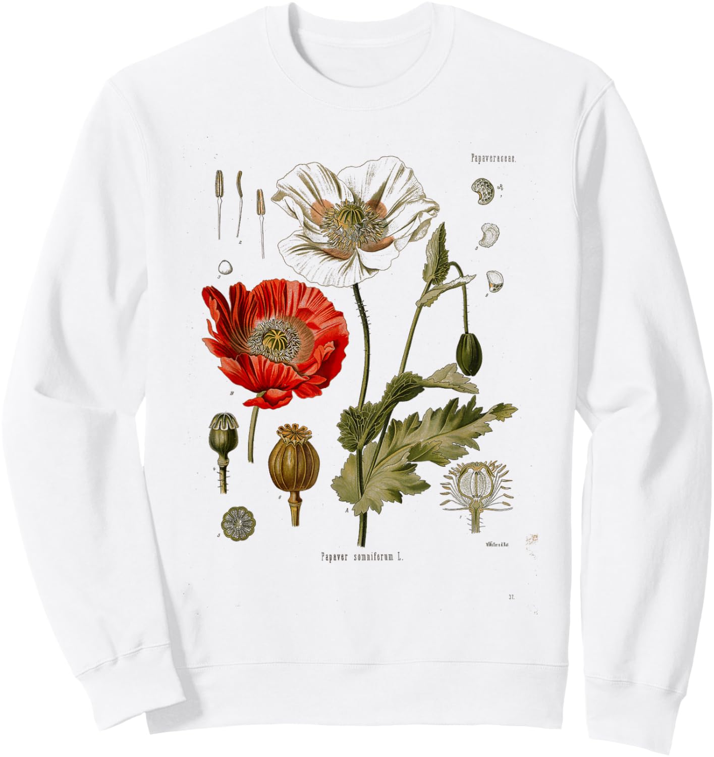 Vintage Botanical flower wild flower Garden Botany Sweatshirt - Sweatshirt | White