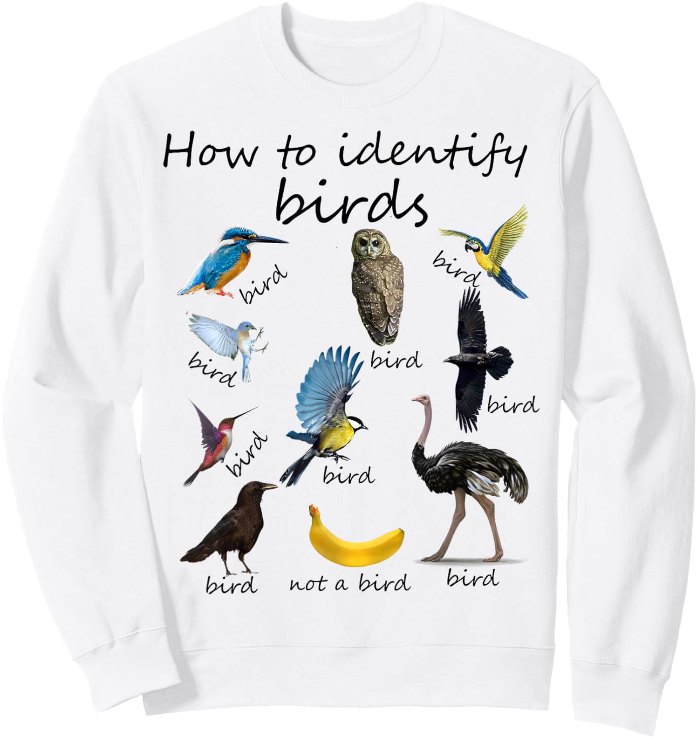 How To Identify Birds Bird Watcher Sweatshirt - Sweatshirt | White