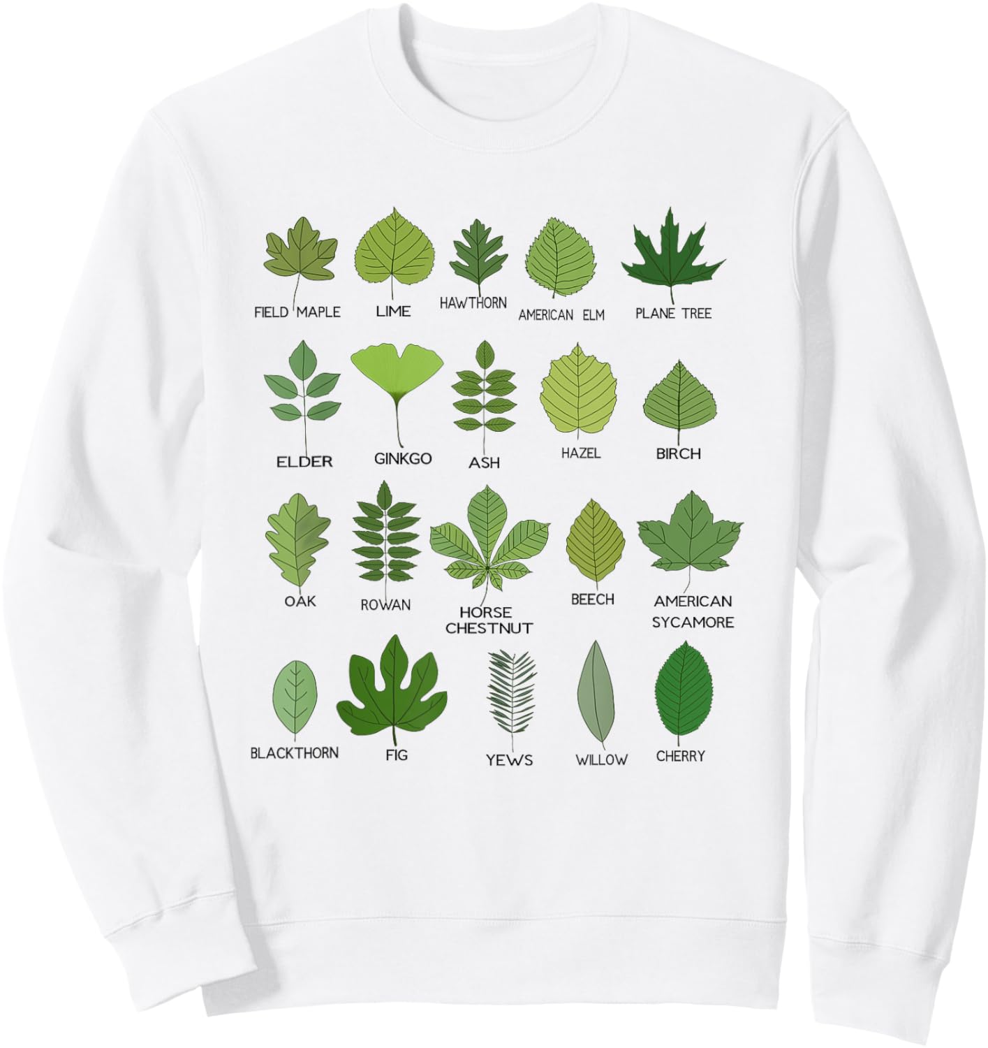 Botanical Beauty, Different Types of Tree Leaves Sweatshirt - Sweatshirt | White