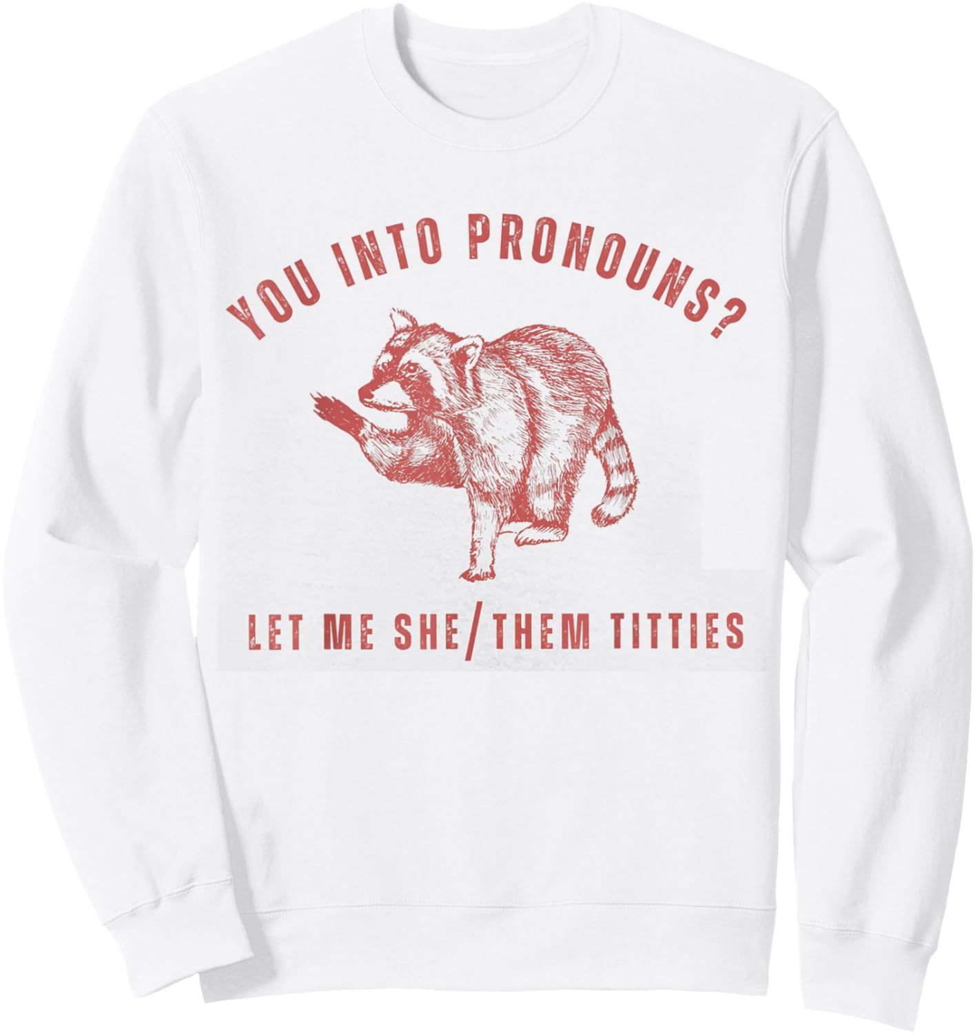 Retro Racoon You Into Pronouns Let Me She Them Titties Sweatshirt - Sweatshirt | White