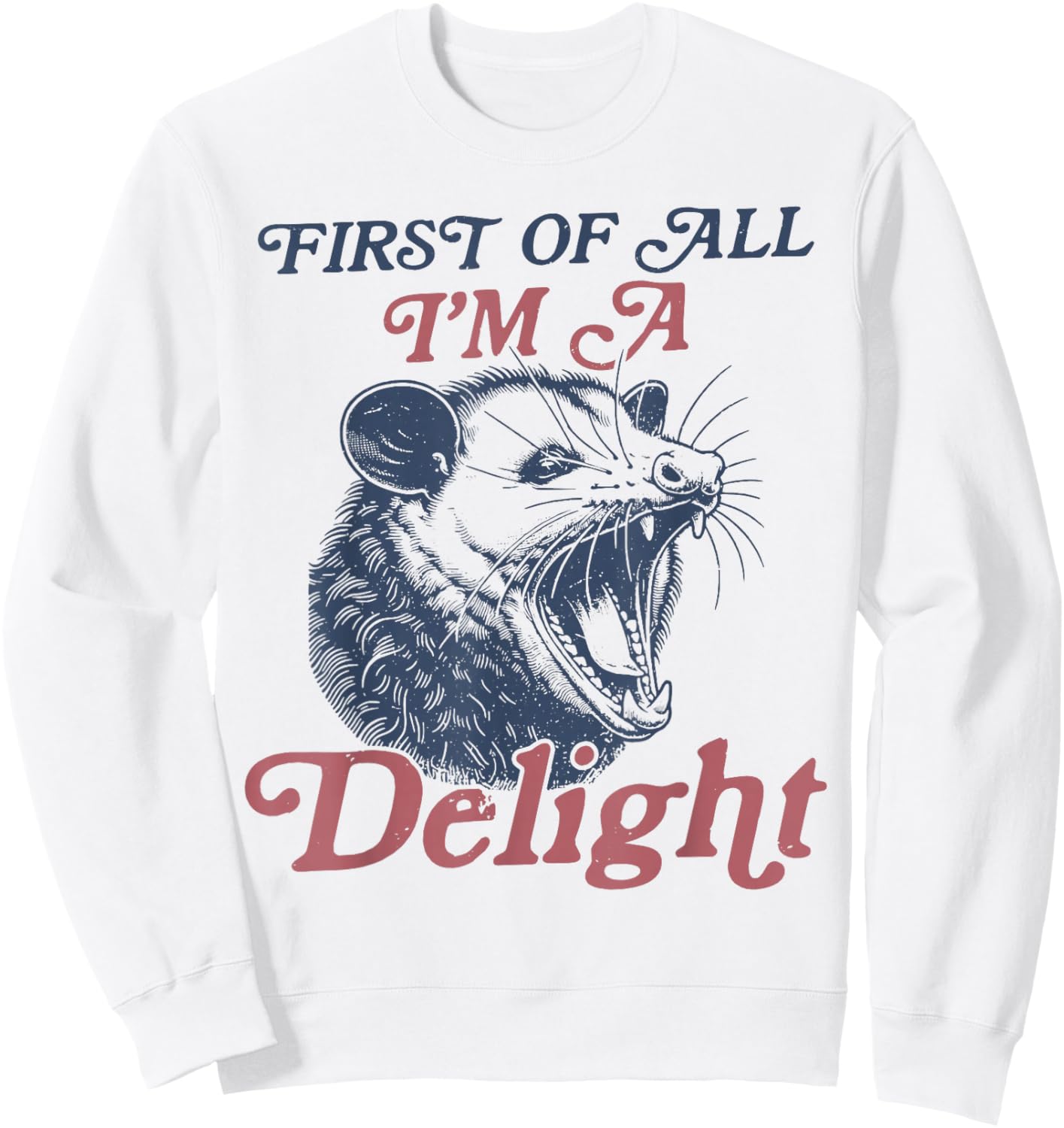 First Of All I'm A Delight Sarcastic Angry Opossum Possum Sweatshirt - Sweatshirt | White