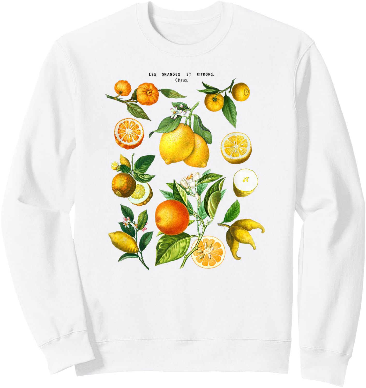 Citrus Collage Sweatshirt - Sweatshirt | White
