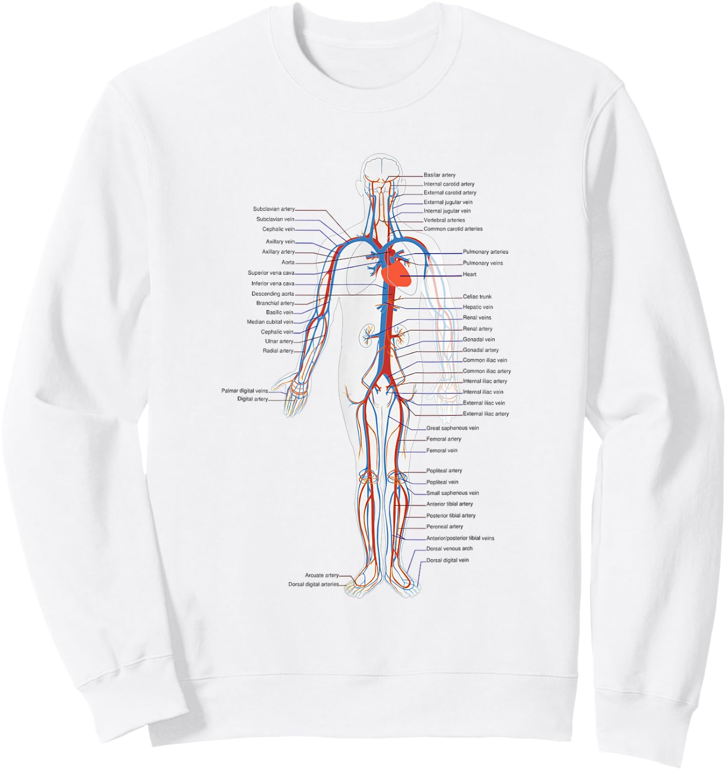 Circulatory System Anatomy Chart Arteries Veins Sweatshirt - Sweatshirt | White